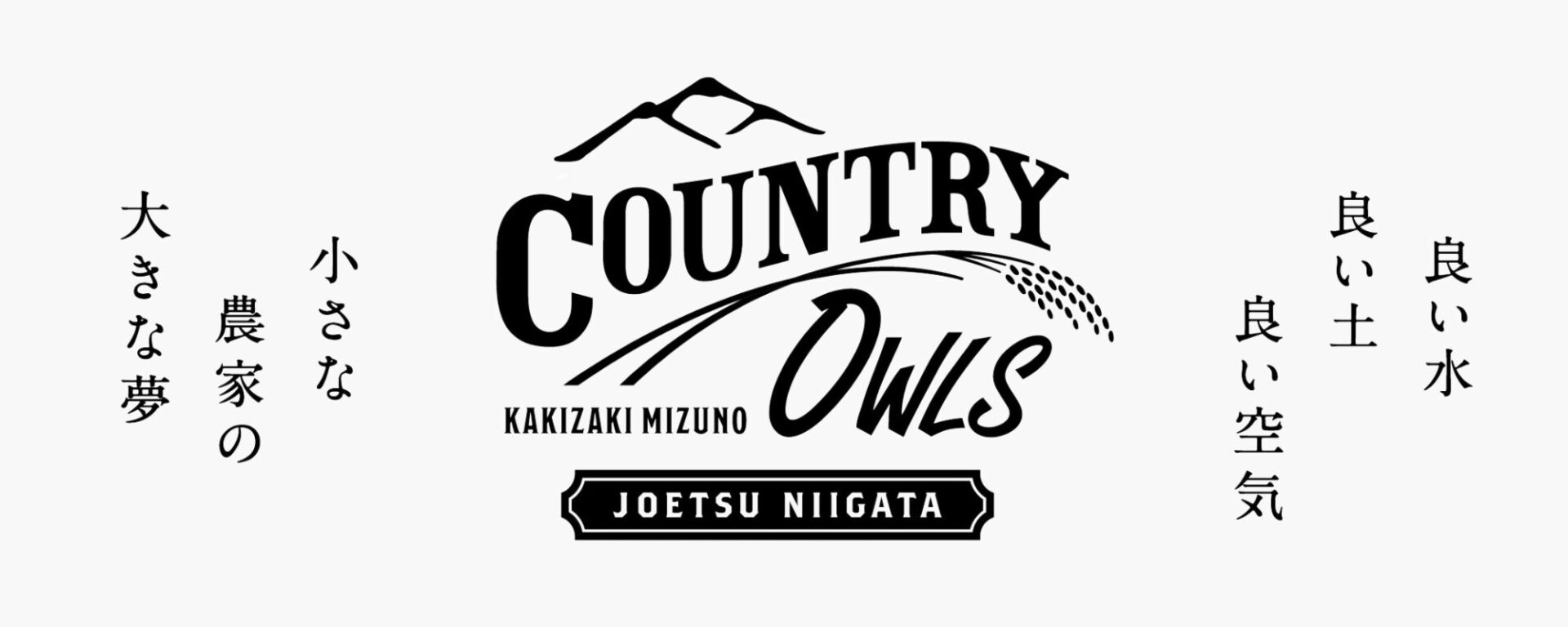 Country Owls