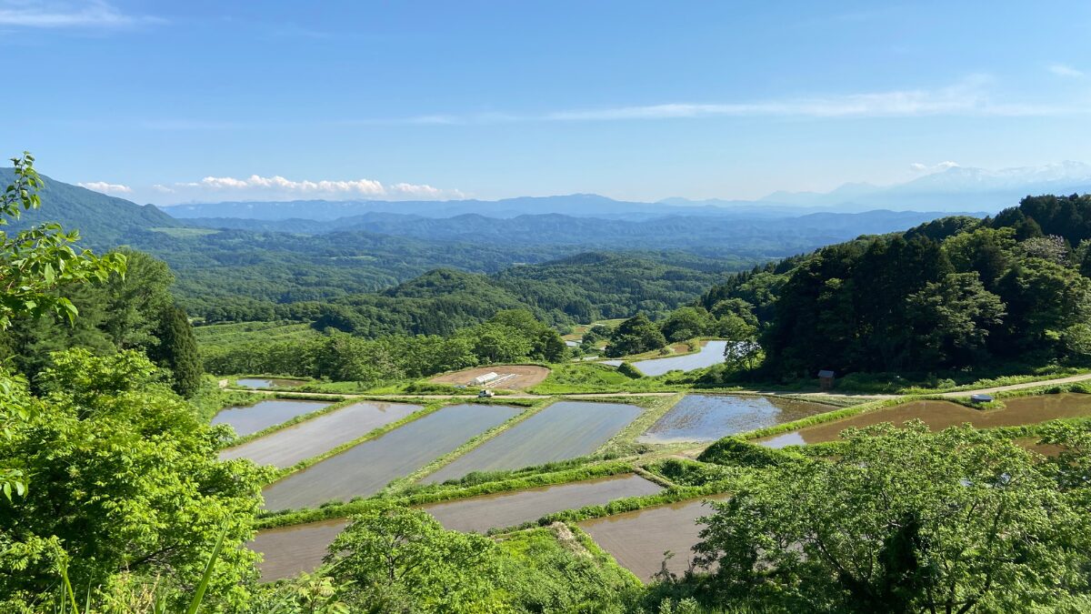 水野集落とは？Country Owlsの本拠地！