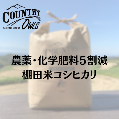 農薬・化学肥料5割減 棚田米 コシヒカリ 玄米5kg～