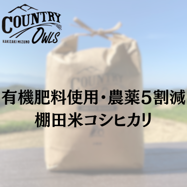 有機肥料使用・農薬5割減 棚田米 コシヒカリ 玄米5㎏～