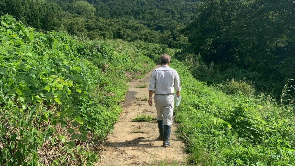 カントリーアウルズ2025年の歩み